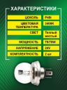 R2 24v-75/70w P45t Standard (2шт.) Bright Firefly