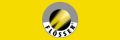 Flosser