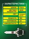 D4R 35W P32d-6 6000K 42V Bright Firefly