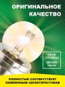 R2 24v-55/50w P45t Standard (2шт.) Bright Firefly