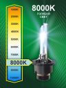 D2S 35W P32d-2 8000K 85V Bright Firefly