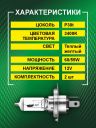 H4B 12v-60/55w P30t Standard (2шт.) Bright Firefly