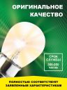 R1 24v-60w P42s Standard (2шт.) Bright Firefly