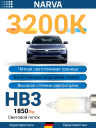 NARVA  HB3 12v65W P20d