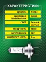 H7 12v-100w PX26d Rally (2шт.) Bright Firefly